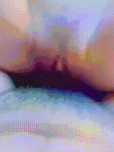 f3104_compressed.gif