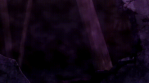黒獣クロイヌ2_THE_ANIMATION_中文字幕 _动漫__p5.gif