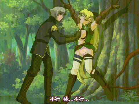 姫辱_きじょく_第二章_姫君__調教_中文字幕_p60.gif