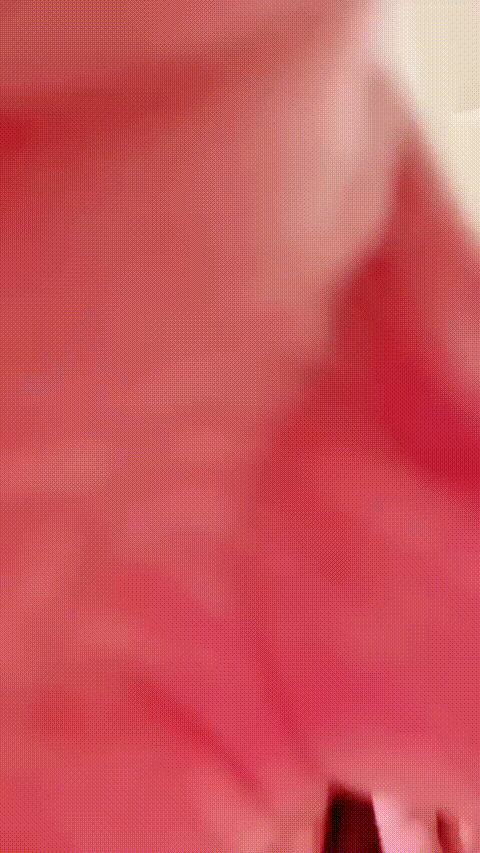 蕊蕊宝_20260213_233516_p60_compressed.gif
