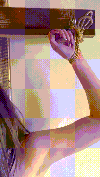 2 (4)_compressed.gif
