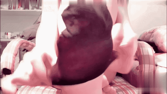 0 (1).gif