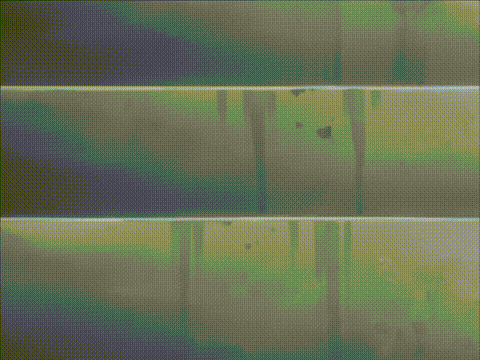 Bible_Black_2_p40.gif