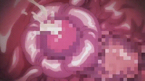 住宅_Residence_1_p80.gif
