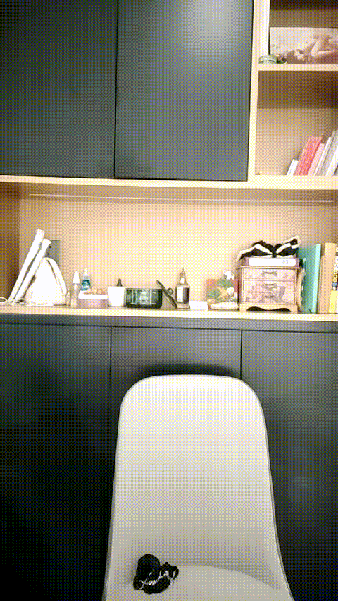 1 (11)_p5.gif