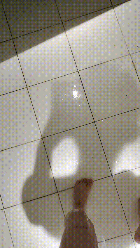 35_p5.gif
