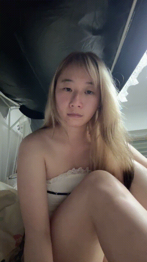 小猫不想秃头_20260216_165052_p20.gif