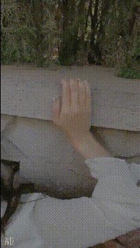 d3005_compressed.gif