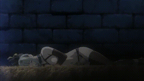 姫騎士リリア_Vol_05_悦獄、キリコとレイラ_中文字幕_p20.gif