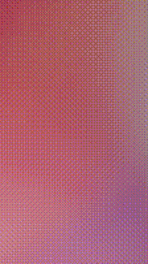 苹果柿子梨_20260309_130104_p40_compressed.gif