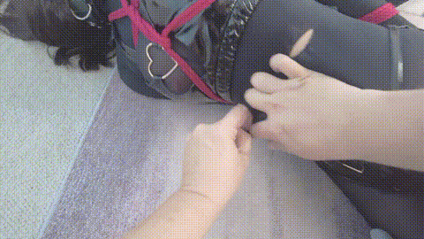 惩戒学院 捆绑调教 强制高潮 惩戒31768_p80.gif