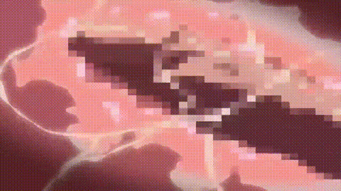 特务捜査官レイ风子_vol_02_白浊の戦士たち_中文字幕_p80.gif