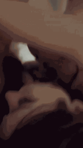 2 (3)_compressed.gif