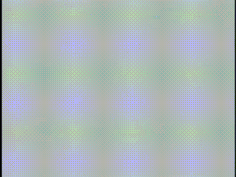 肉欲玩具宅配人_VOL_3_[中文字幕]_p5.gif