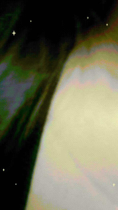 VID_20230822_071515_214_p80.gif