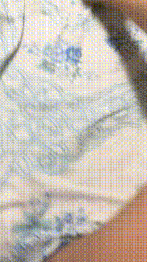 VID_20230906_171801_829_p60_compressed_compressed.gif