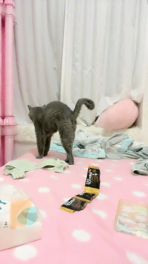 VID_20230915_002009_387_p5.gif