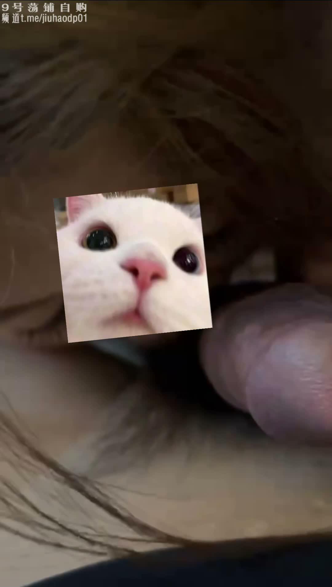 04.jpg