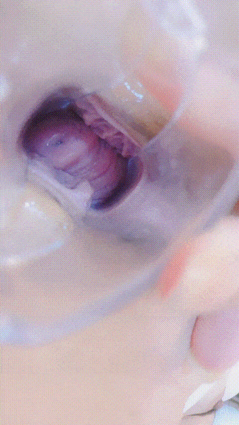 主播_ 波多老师_ 美肌美女_道具自慰_ 美乳_6_p80 (2).gif