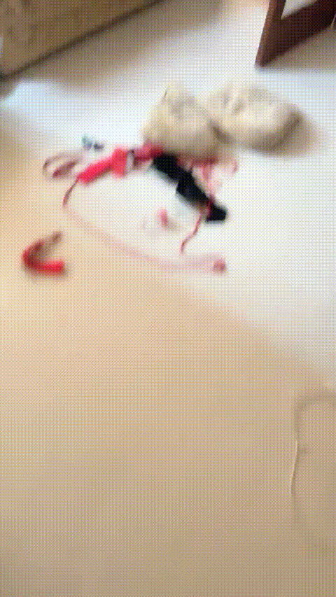 正片~ (1)2500_p60.gif