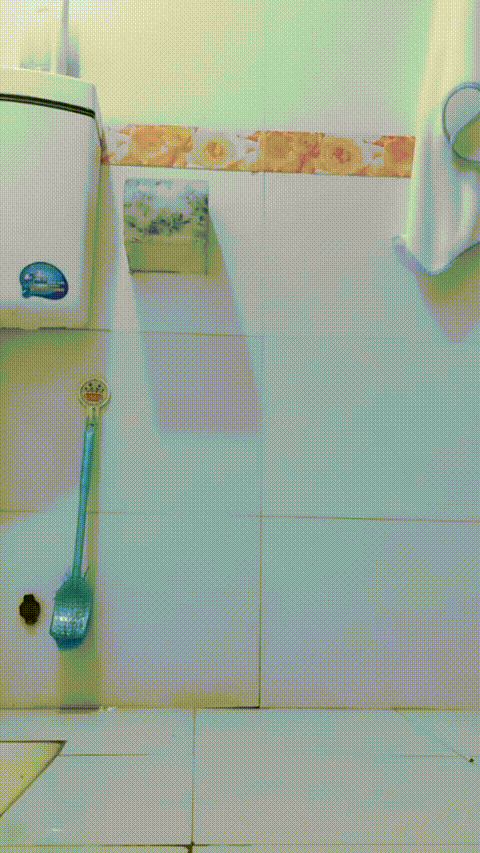 宝贝安安_20260219_194135_p60.gif