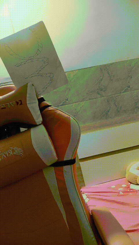 vlc_record_2023_06_12_19h36m46s_cx___p5.gif