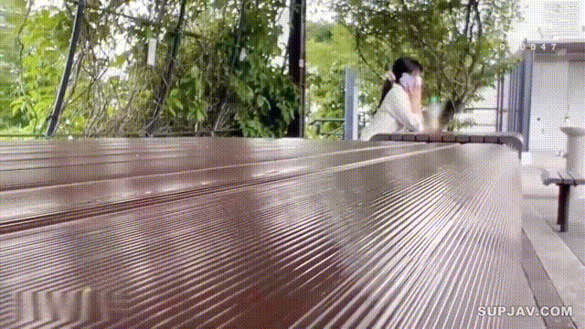 1 (1).gif