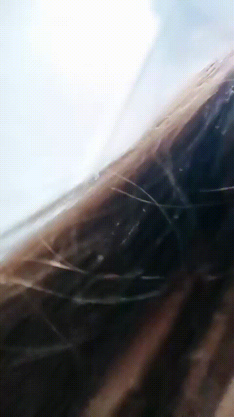 清纯女高_06清纯安静_20260204_154214_p40_compressed.gif