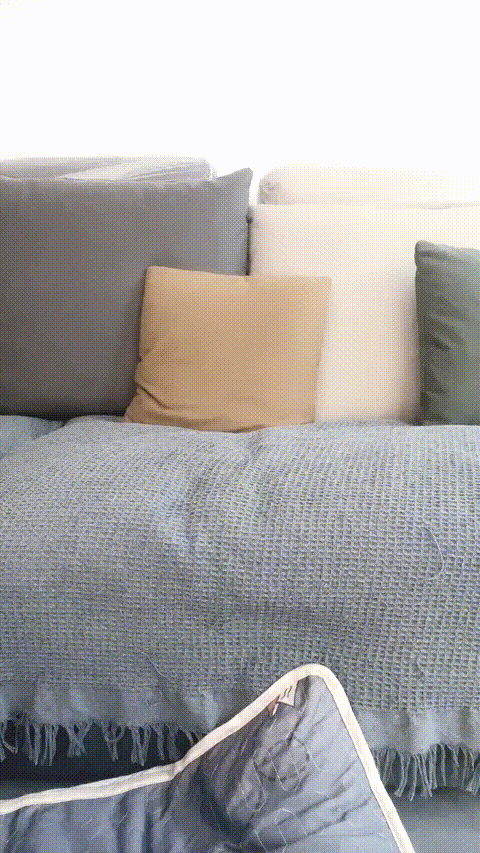 vlc_record_2023_05_25_21h08m22s_cx__(1)_p60.gif