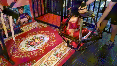 调教室各种道具调教拘束小笼子_p60.gif