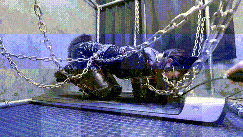 Lemon  Z息  胶衣ヒトイヌ１０分_p80.gif