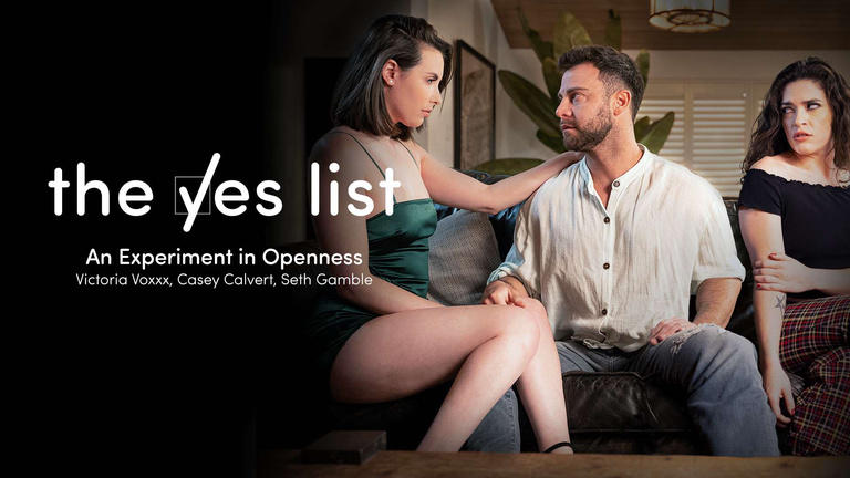 The Yes List - An Experiment in Openness.jpg