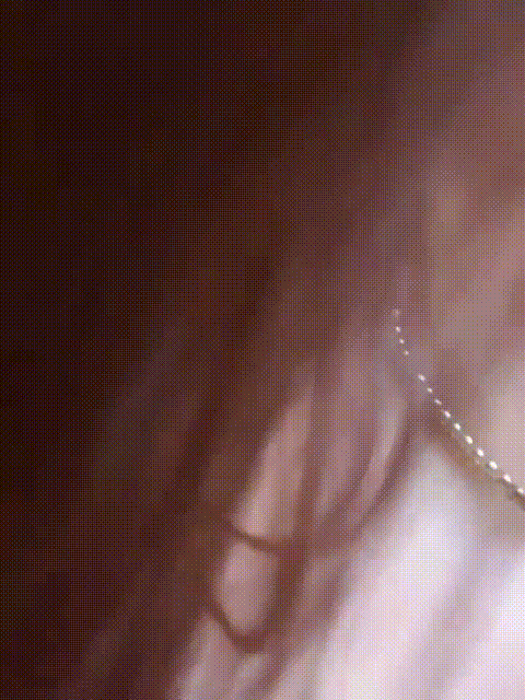 (29)_p20_compressed.gif