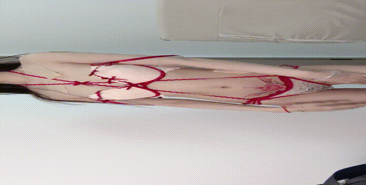 1 (13).gif
