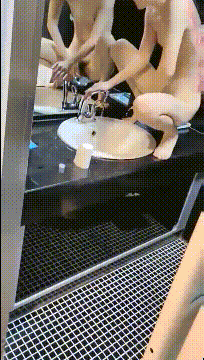 k0805_compressed.gif
