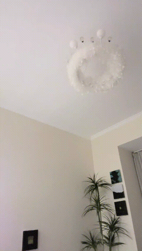 IMG_1264_p60.gif