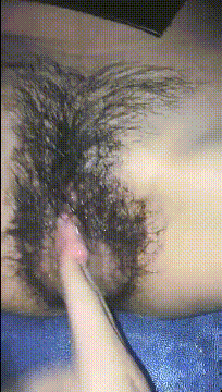 m2605_compressed.gif