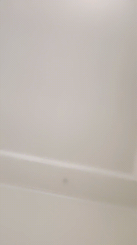 #好色小萝莉___8_p60_compressed.gif