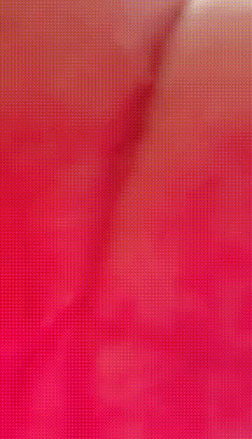 0 (3).gif